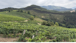 181 a2y. Spain - Bilbao wine tour winery