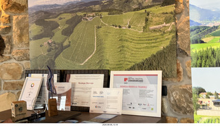 188 a2y. Spain - Bilbao wine tour winery - wine tasting signs