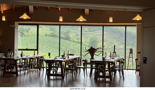 203 a2y. Spain - Bilbao wine tour winery - wine tasting room with view