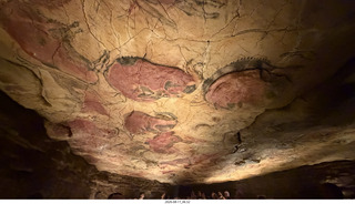 52 a2y. Spain - Museo de Altamira - primitive caves reproduction