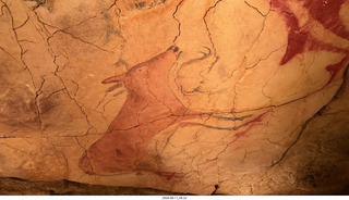 54 a2y. Spain - Museo de Altamira - primitive caves reproduction