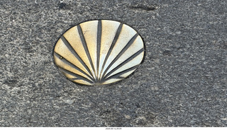 167 a2y. Spain - Santiago de Compostela - walking tour - shell symbol on sidewalk