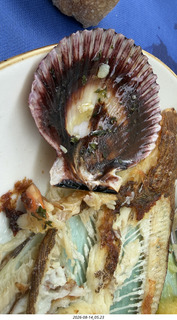151 a2y. Spain - bus tour of north shore - restaurant - shells