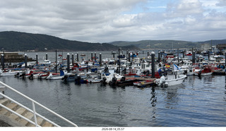 159 a2y. Spain - bus tour of north shore - marina
