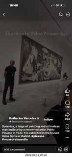 264 a2y. Spain - Facebook picture of Picasso 'Guernica' from 1937