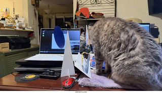41 a2y. cat Potato playing with my BilBao-Guggenheim mobile