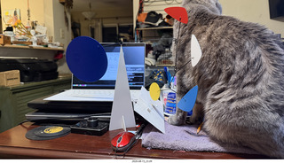 42 a2y. cat Potato playing with my BilBao-Guggenheim mobile