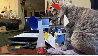 43 a2y. cat Potato playing with my BilBao-Guggenheim mobile