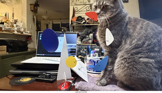 48 a2y. cat Potato playing with my BilBao-Guggenheim mobile