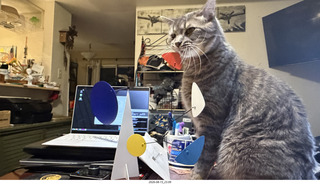 49 a2y. cat Potato playing with my BilBao-Guggenheim mobile