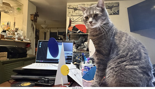 50 a2y. cat Potato playing with my BilBao-Guggenheim mobile