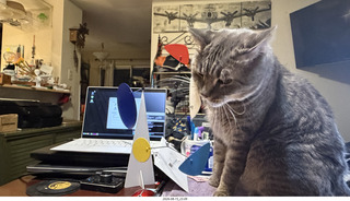 51 a2y. cat Potato playing with my BilBao-Guggenheim mobile